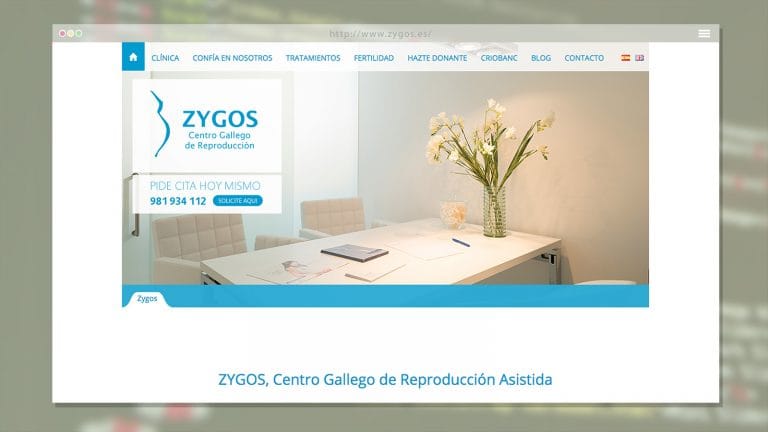 zygos.es