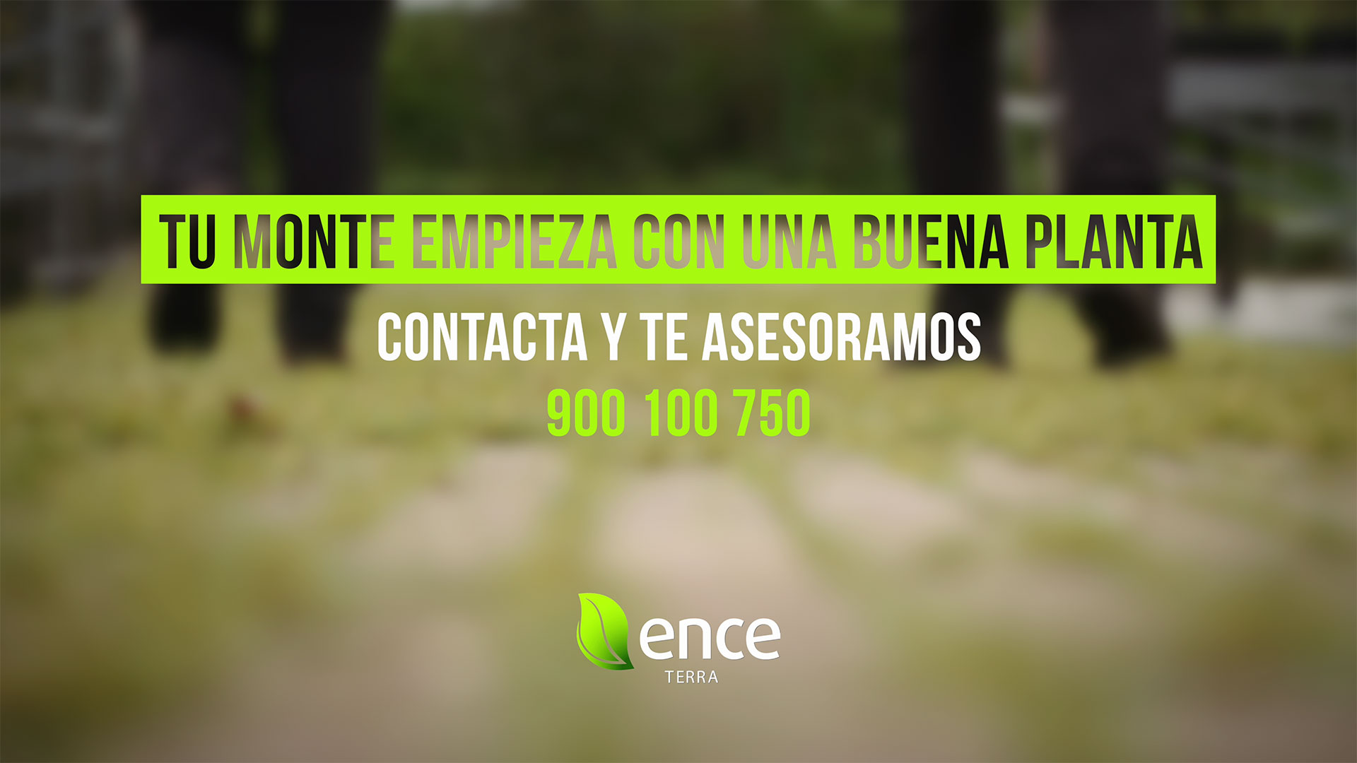 Tu monte empieza con una buena planta