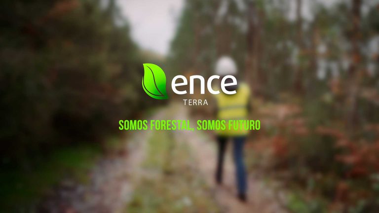 Somos forestal, somos futuro